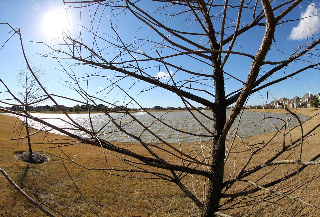 Unveiling the Rich Tapestry of Cypress, TX: A Journey to Its Origins 