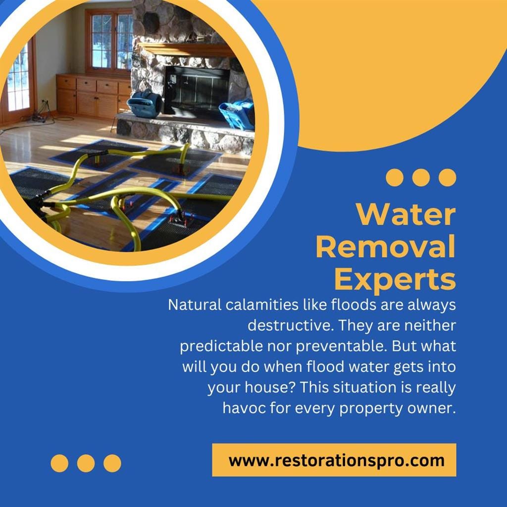 Water Removal Experts Restorationspro Medium