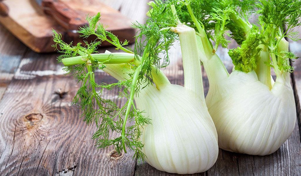 Fennel — Useful properties and applications. Contraindications by