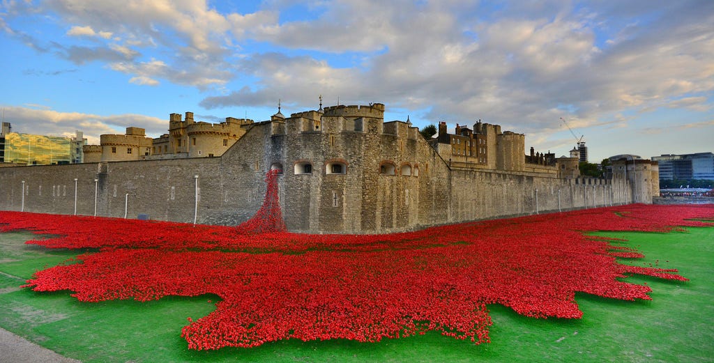 this-is-why-the-poppy-is-controversial-by-alex-stokes-medium