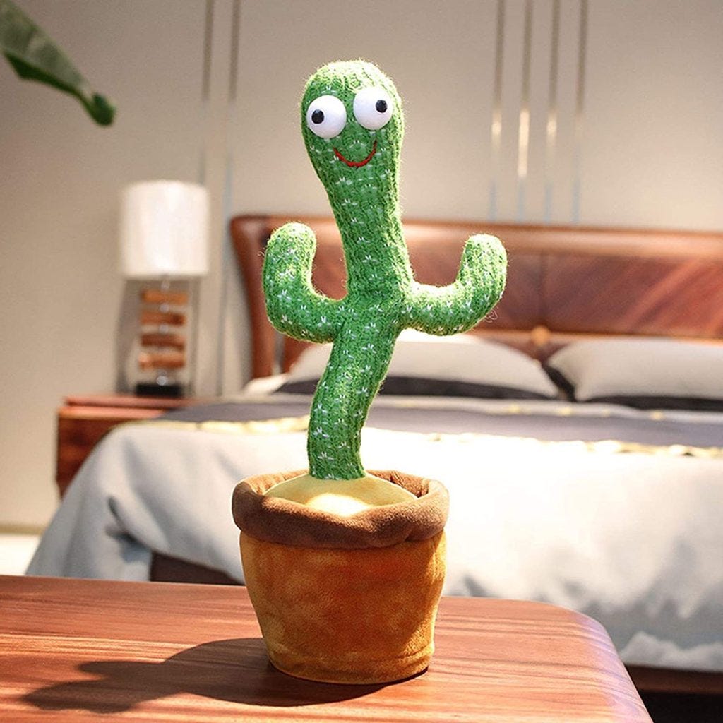 Tanzender Kaktus. Welcome to Dancing Cactus, where we…, by Tanzender Kaktus