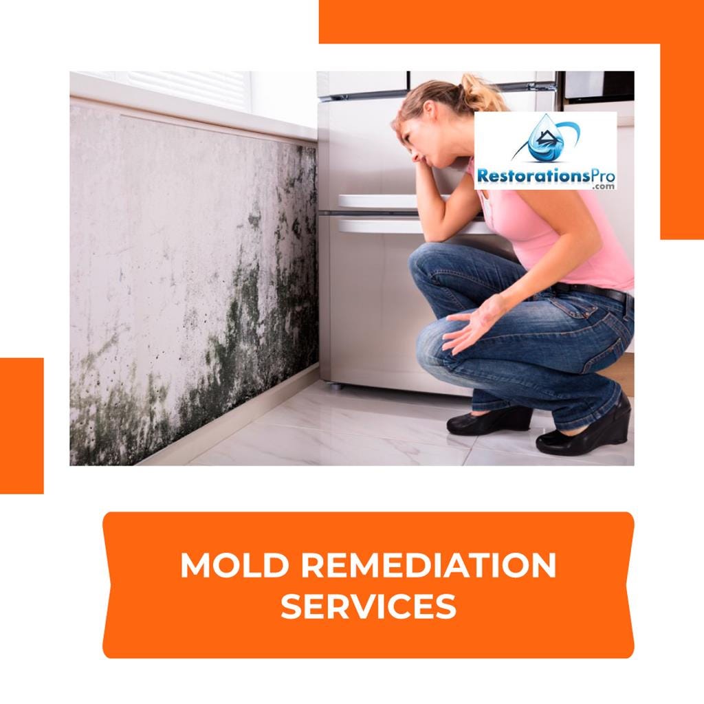 Mold Remediation Services Restorationspro Medium