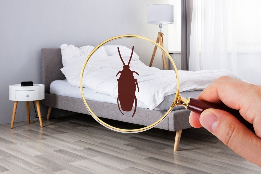 Caster Bed Bug Exterminator in Columbus OH 3802232937 Bed Bug