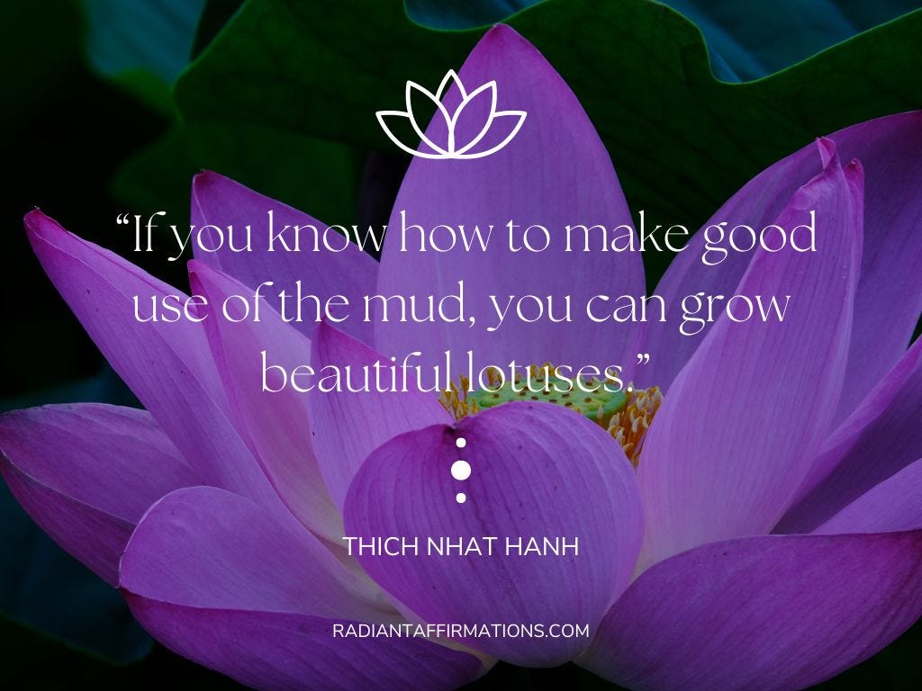Lotus Flower Meaning Quotes