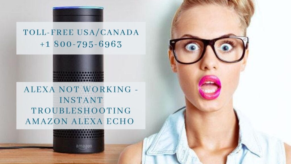 Why Is My Alexa Not Working? Alexa App Helpline 1 8007956963 by