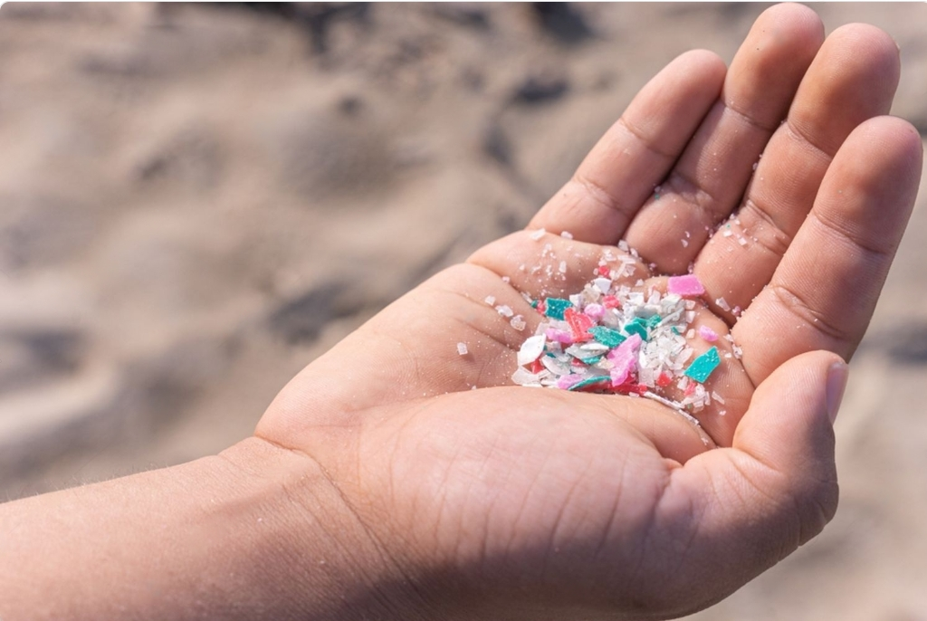 The Impact of Microplastics on Marine Life: A Deep Dive into Ocean ...