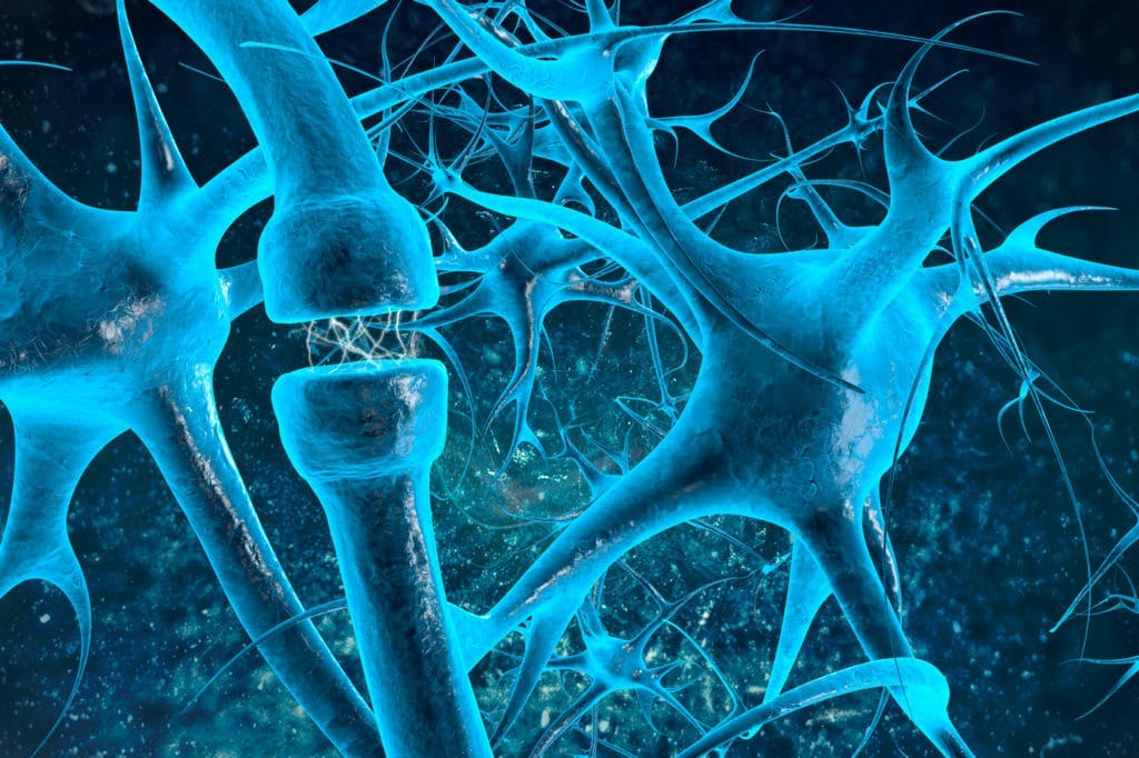The Synapse Neurobiology Training Program, training the next generation of neuroscientists