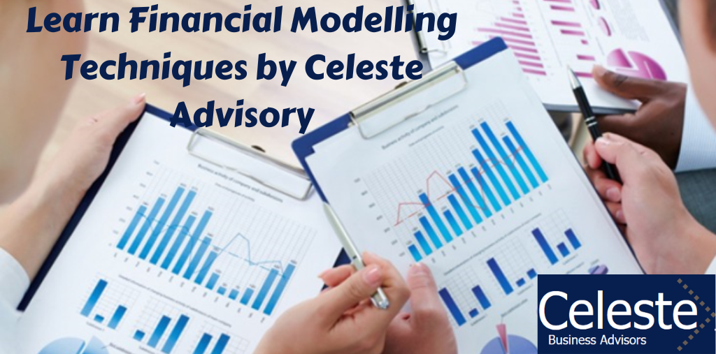 Guidance to Learn Financial Modelling Techniques by Celeste Business