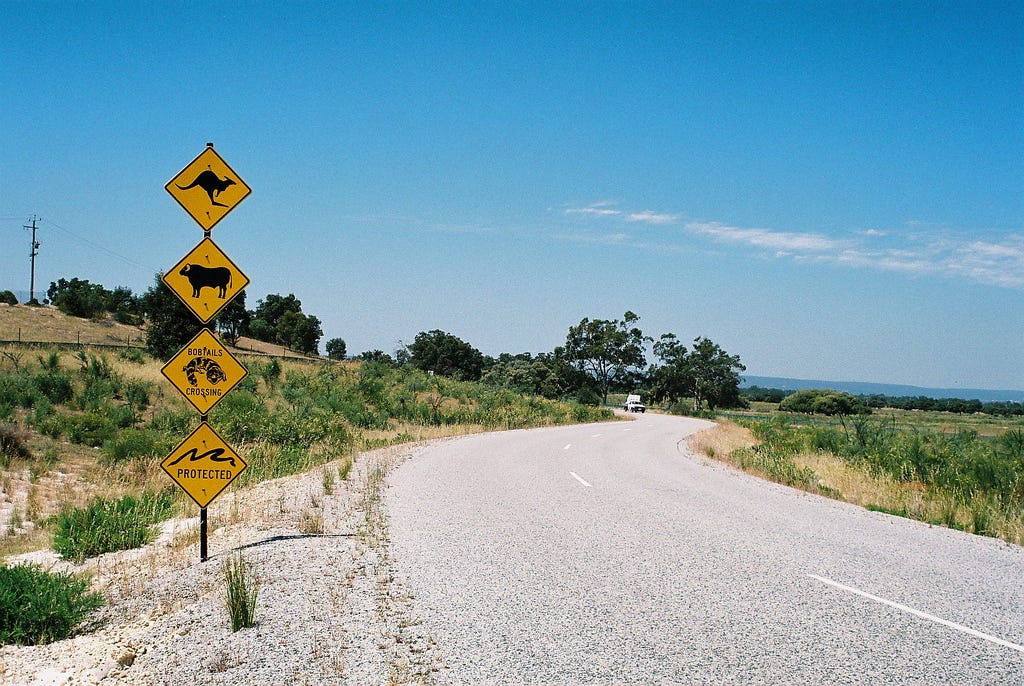кругосветчик фотограф австралия. австралия люди. типичное утро в австралии. типичная австралия. типичная австралия.