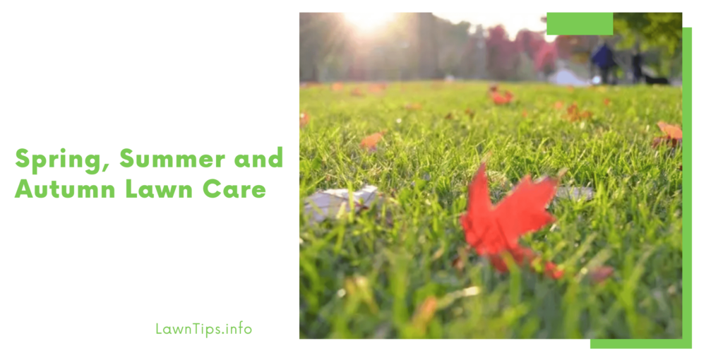 Spring, Summer and Autumn Lawn Care — Lawn Tips Lawn tips Medium
