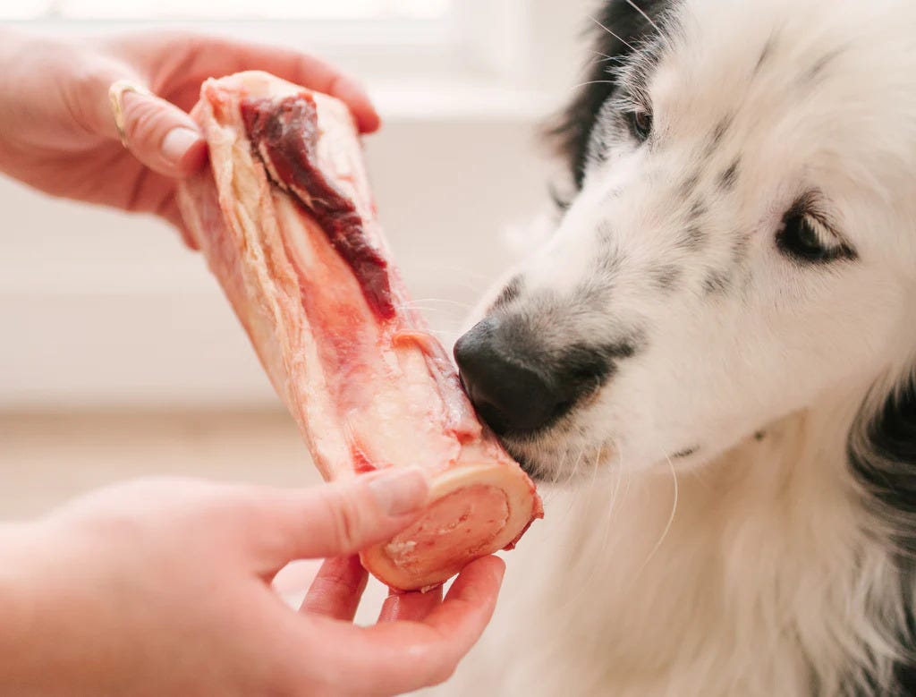 What are the potential benefits and drawbacks of giving your dog raw