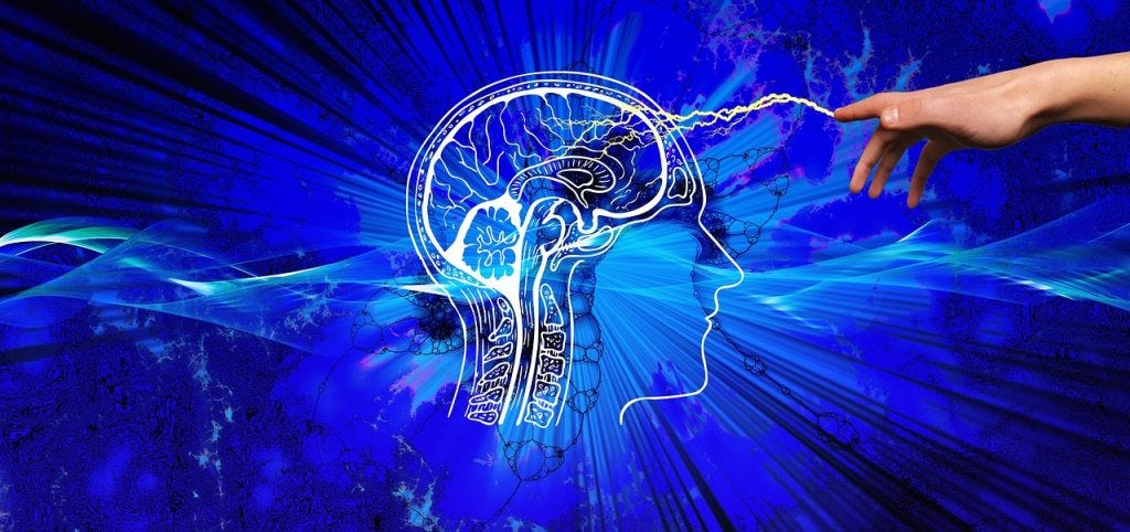 The Metabolic Upheaval: Why Alzheimer’s is More Than a Plaque Problem
