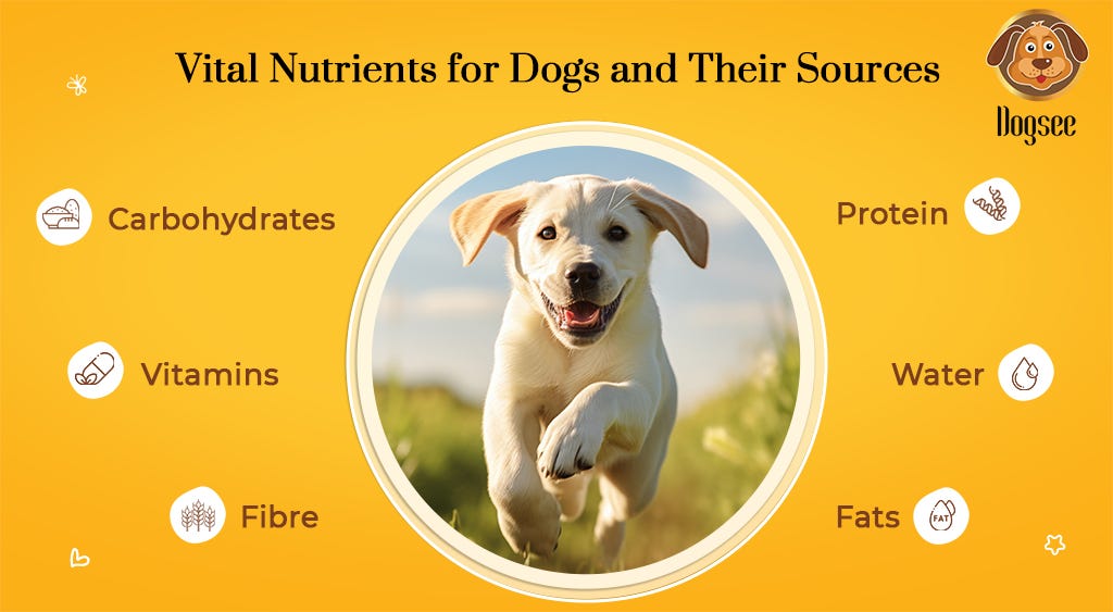 Vital Nutrients for Dogs and Their Sources dogseechew Medium