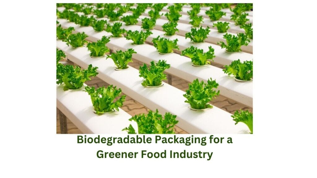 EcoFriendly Revolution Embracing Sustainable Biodegradable Packaging