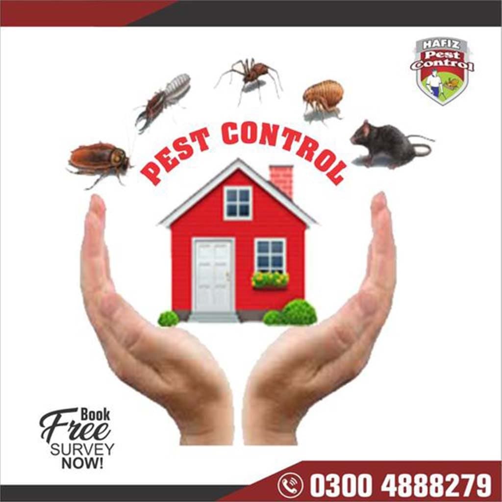 Deemak Control Termite Control Services & Pest Control Services Islamabad Lahore by hafiz pest