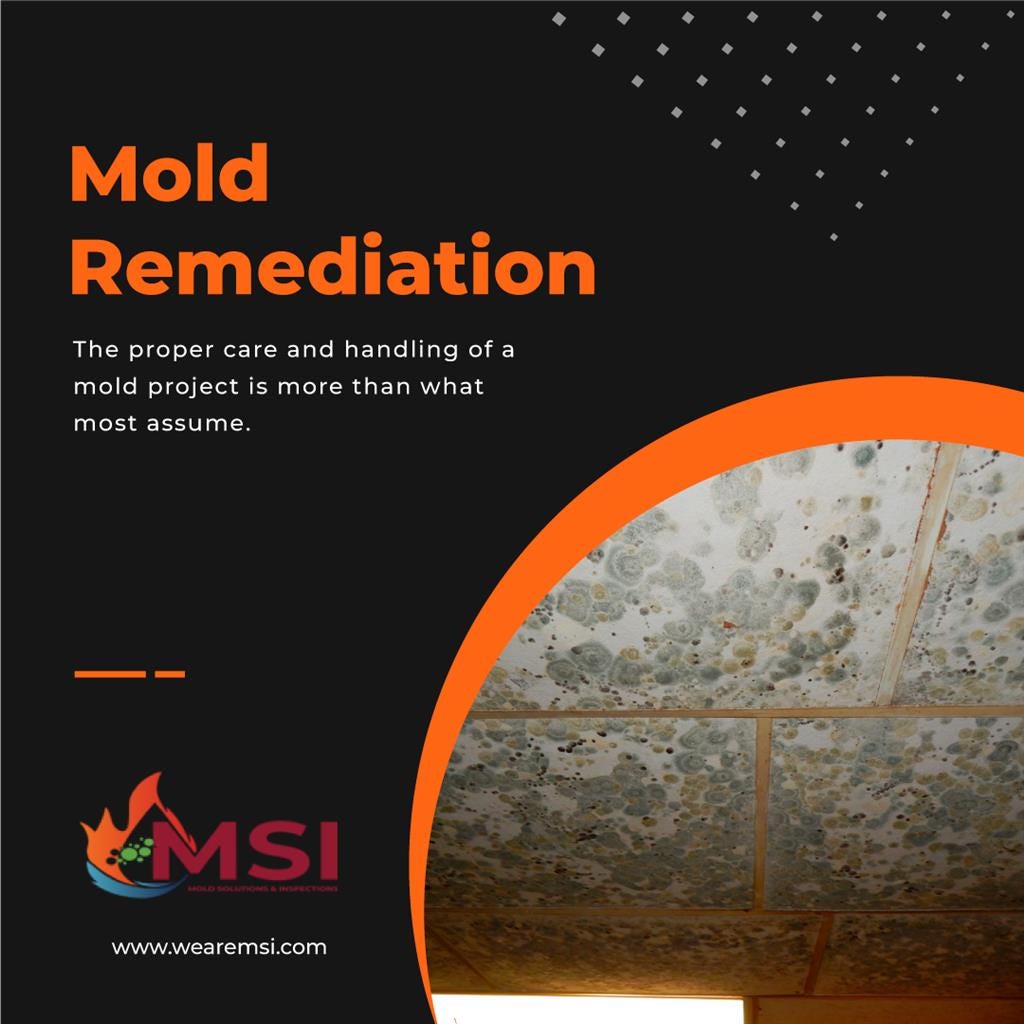 Mold Remediation Services Mold Solutions & Inspections Medium