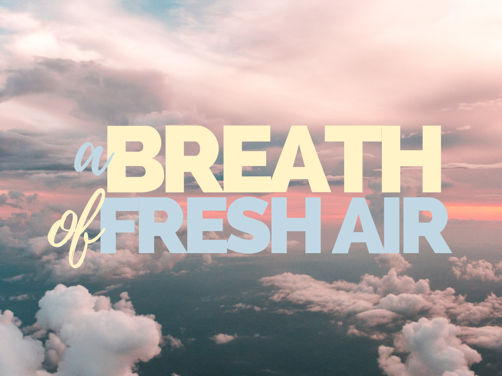 A Breath Of Fresh Air Have You Had One Of Those Quiet Moments By