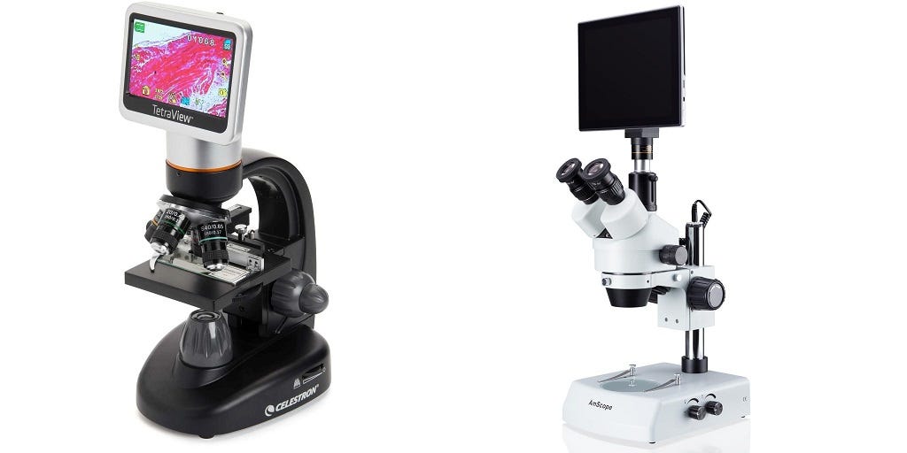 Digital Microscope Benefits for Child Education