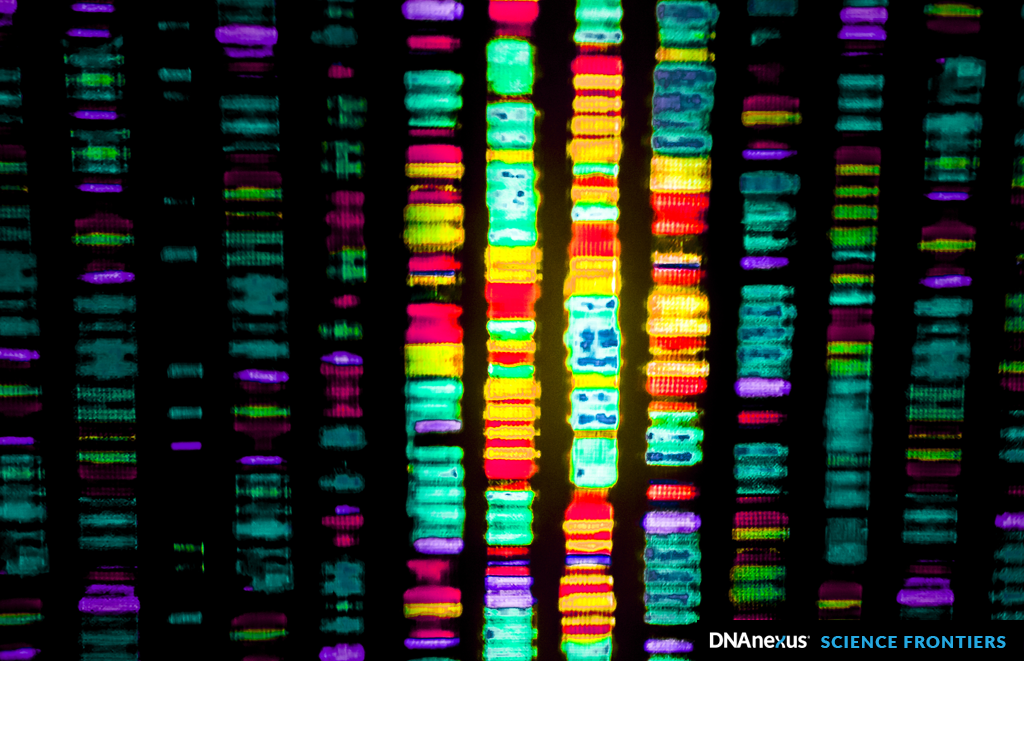 Towards a Truly “Personalized” Genome