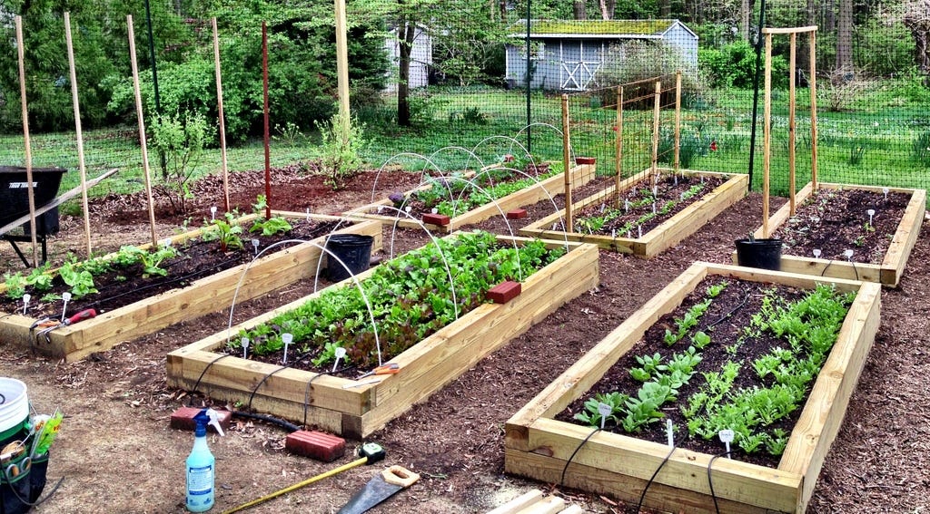 5 ways Automation can change Urban Agriculture | by Spandan Samiran ...