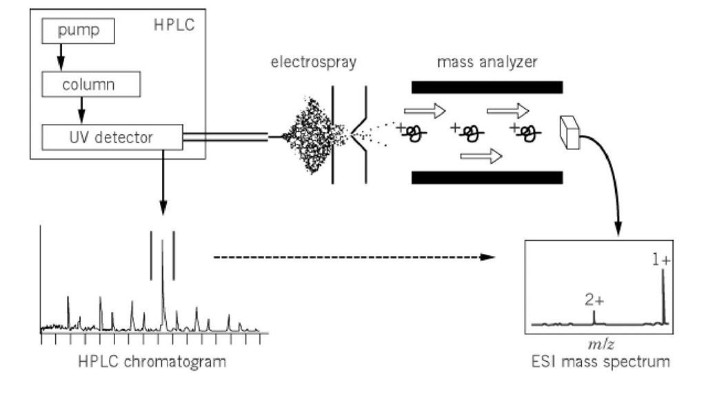 Liquid Chromatography and Mass Spectrometry — How It Works by Dr