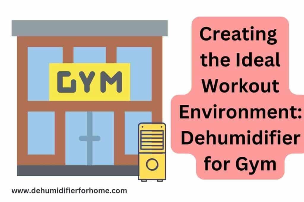 Creating the Ideal Workout Environment Dehumidifier for Gym