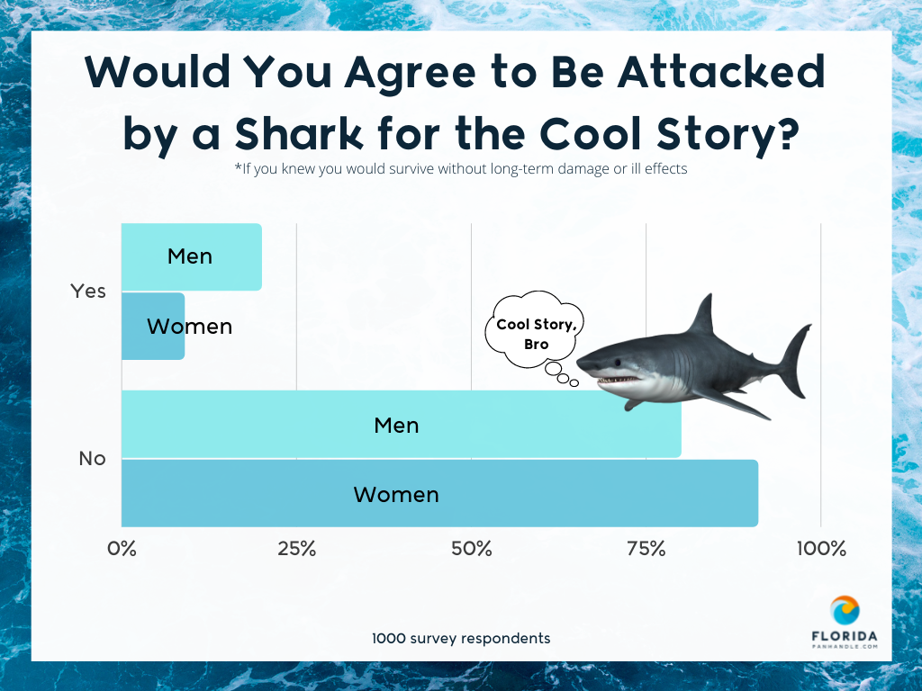 Shark Attack Infographics: Why you don't need to be afraid of sharks.