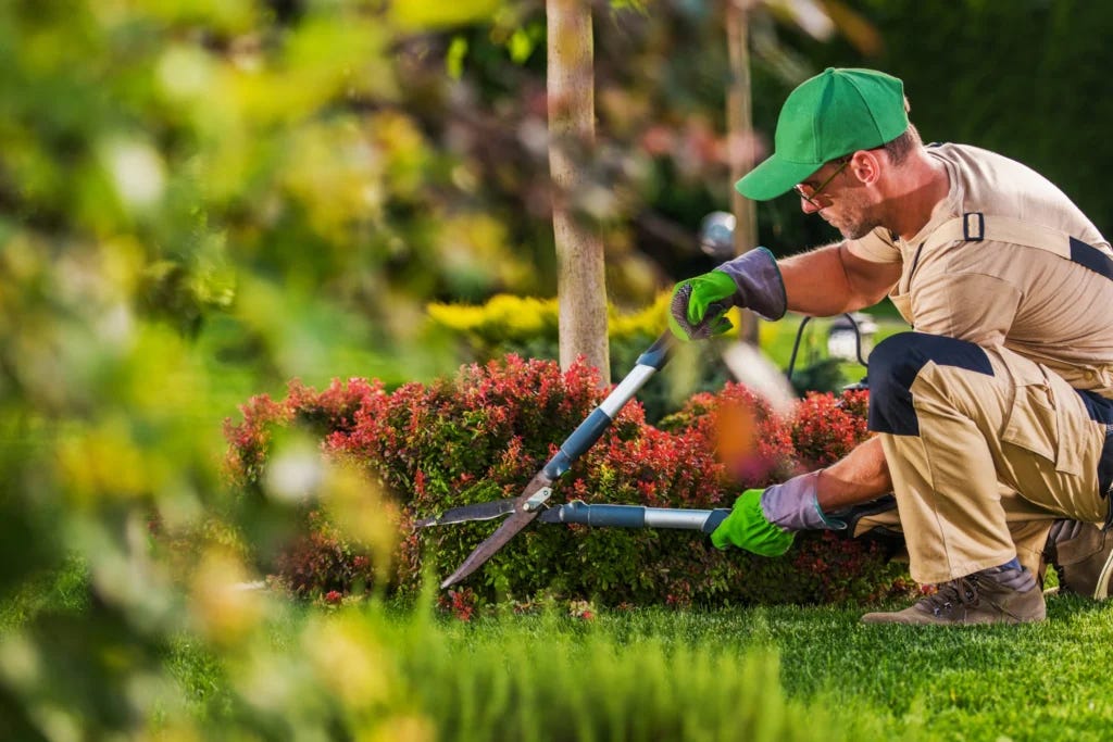 Environmental Standards For Managing Pacific Northwest Residential Property Soil Development