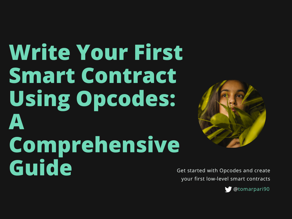 Write Your First Smart Contract Using Opcodes: A Comprehensive Guide ...