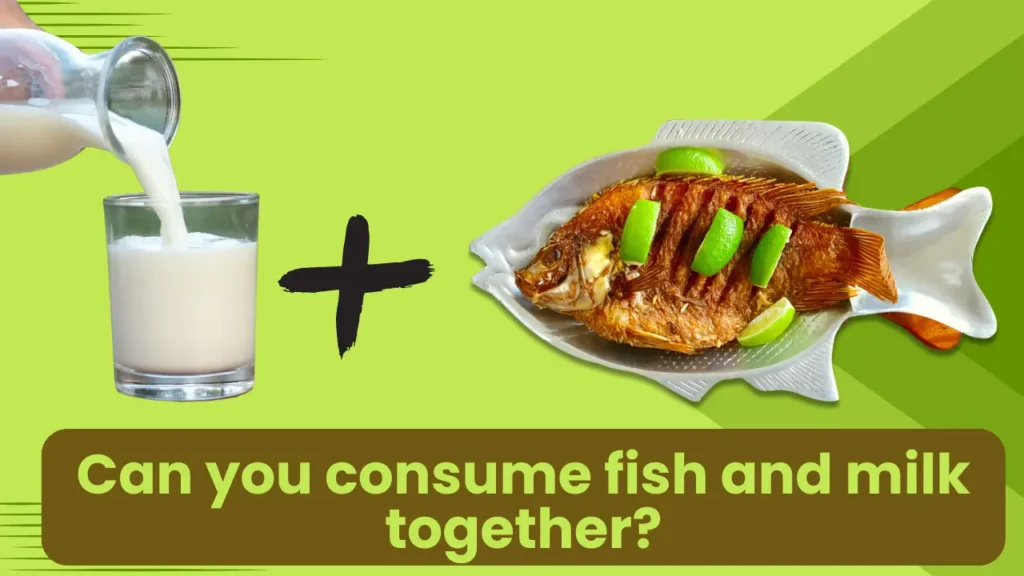 Can we consume Fish and Milk together? Compatibility by Muhammad
