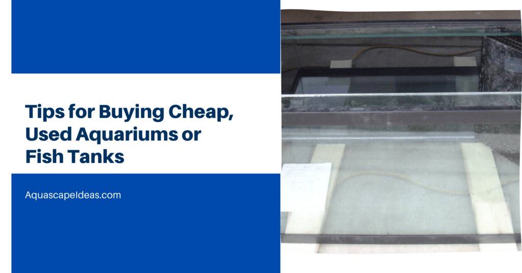 Tips for Buying Cheap, Used Aquariums or Fish Tanks — Aquascape Ideas