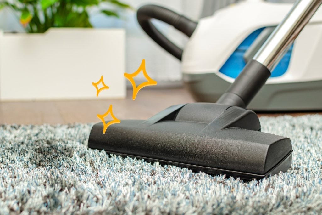 The Ultimate Guide to Finding the Best Vacuum for German Shepherd Hair