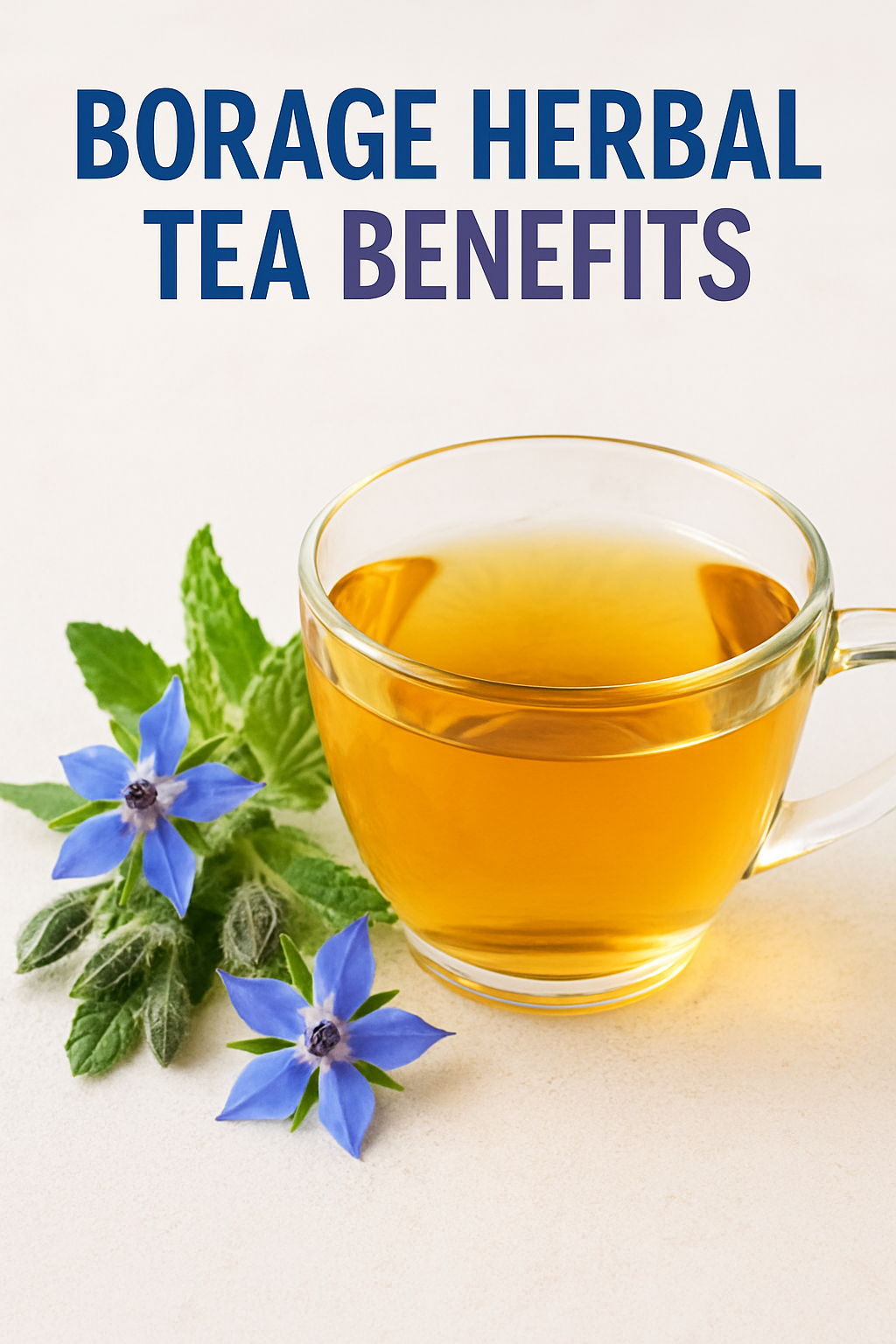 Borage Herbal Tea Benefits