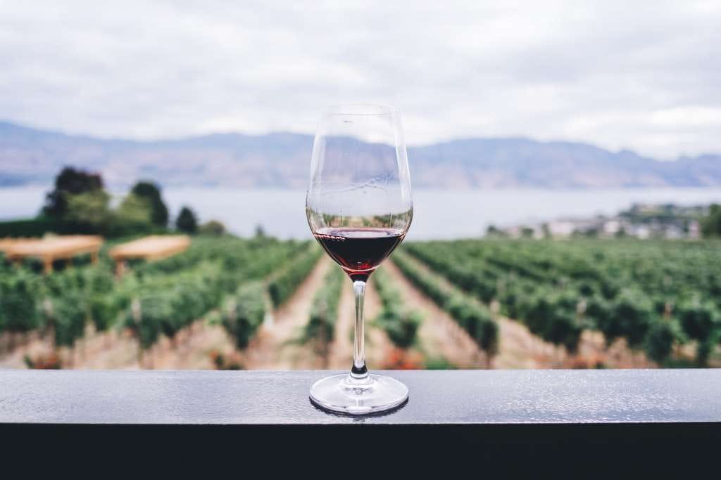 What are Wine Additives?. As we’ve previously stated, Organic… by