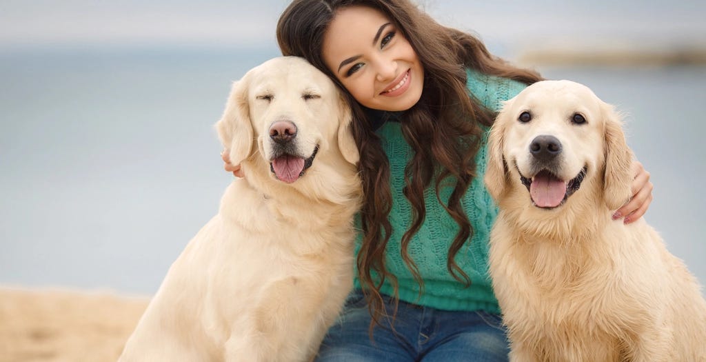 SECRET to unlock your dogs intelligence by Nik Patel Medium