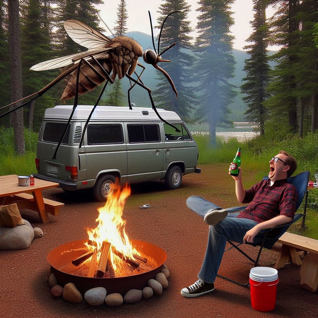 Minivan Camping With Bugs — How to Stop the Biting and Stinging! by