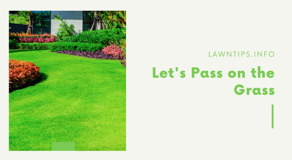 let-s-pass-on-the-grass-lawn-tips-medium