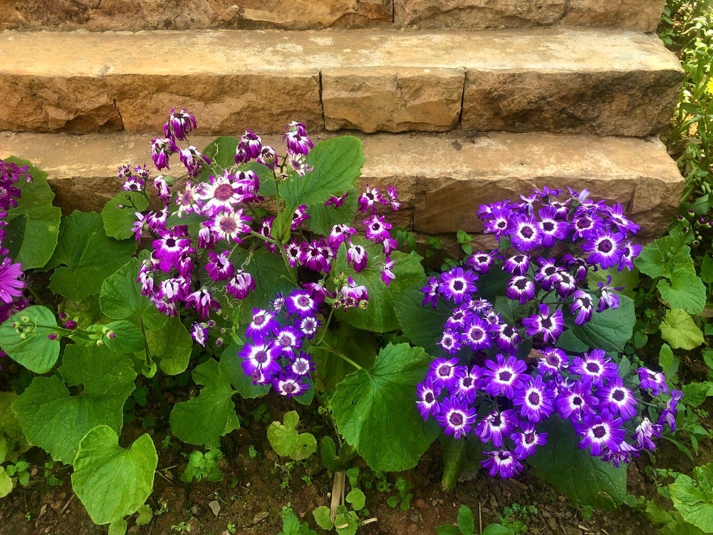 Does Time Change or Us….. A Study of Constants by Monoreena Acharjee