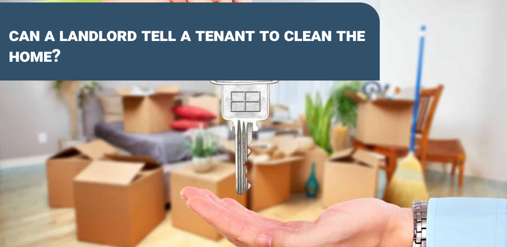 🏡 Navigating Rental Etiquette Can a Landlord Tell a Tenant to Clean