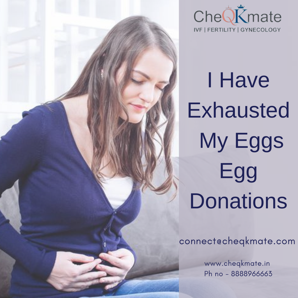 Fertility Clinic Eggs at Mildred Urban blog