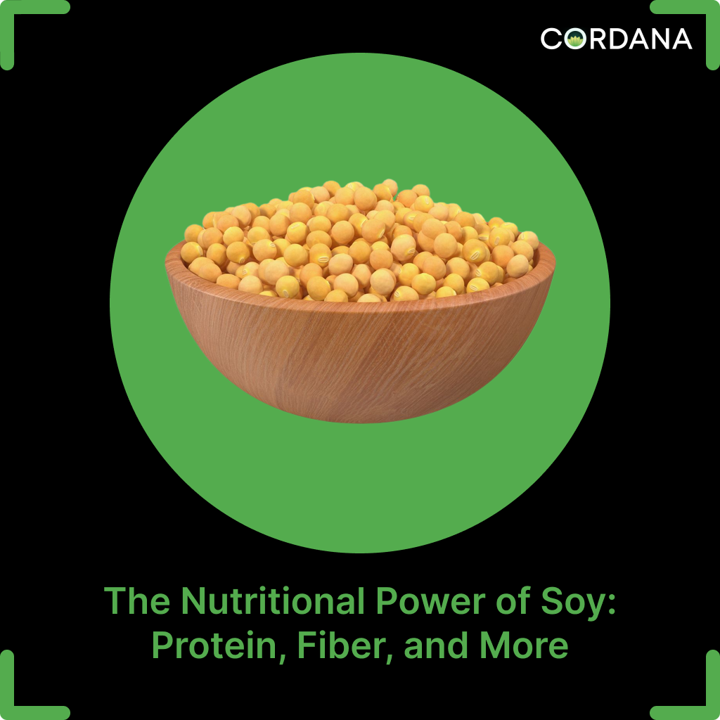 The Nutritional Power of Soy Protein, Fiber, and More by Cordana