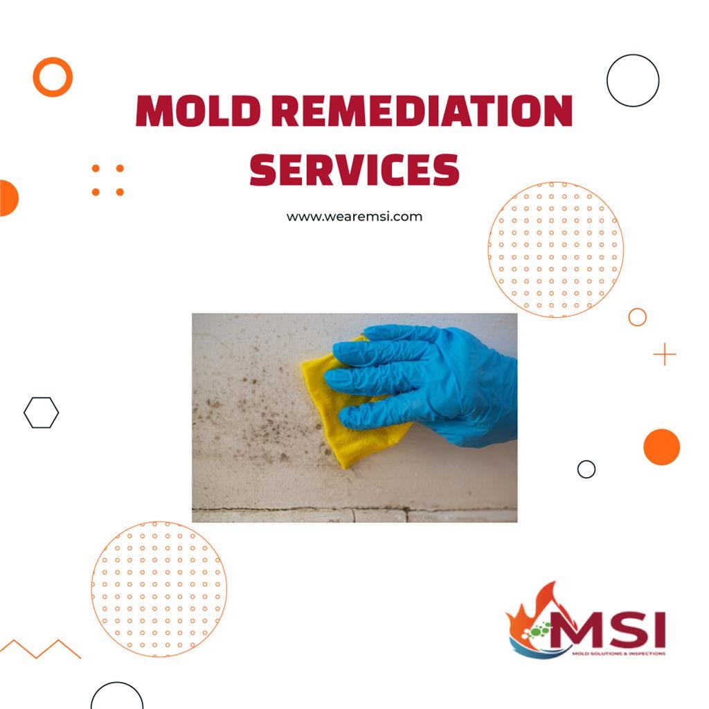 Mold Remediation Services Mold Solutions & Inspections Medium