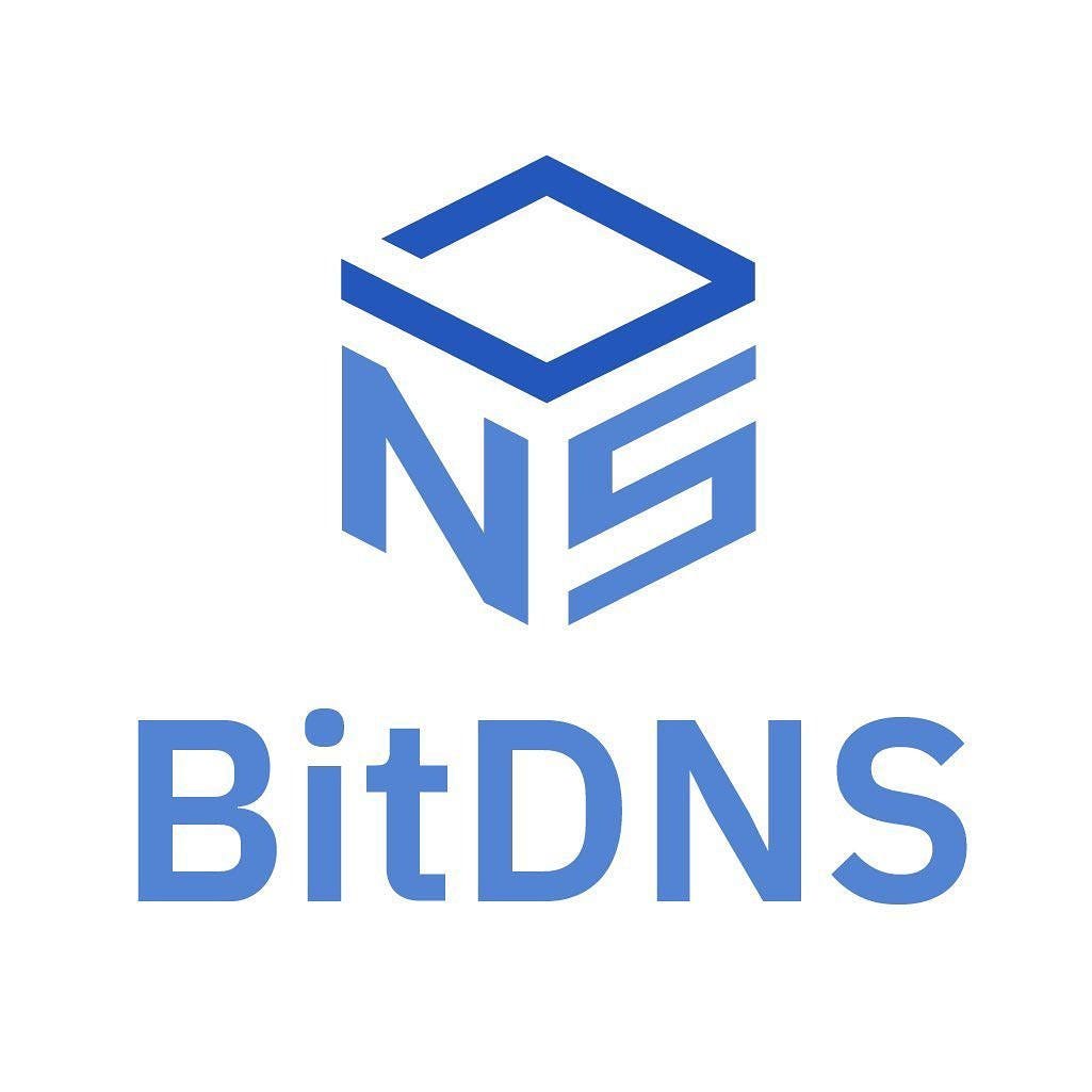 era, BitDNS redefines value connection" by BitDNS
