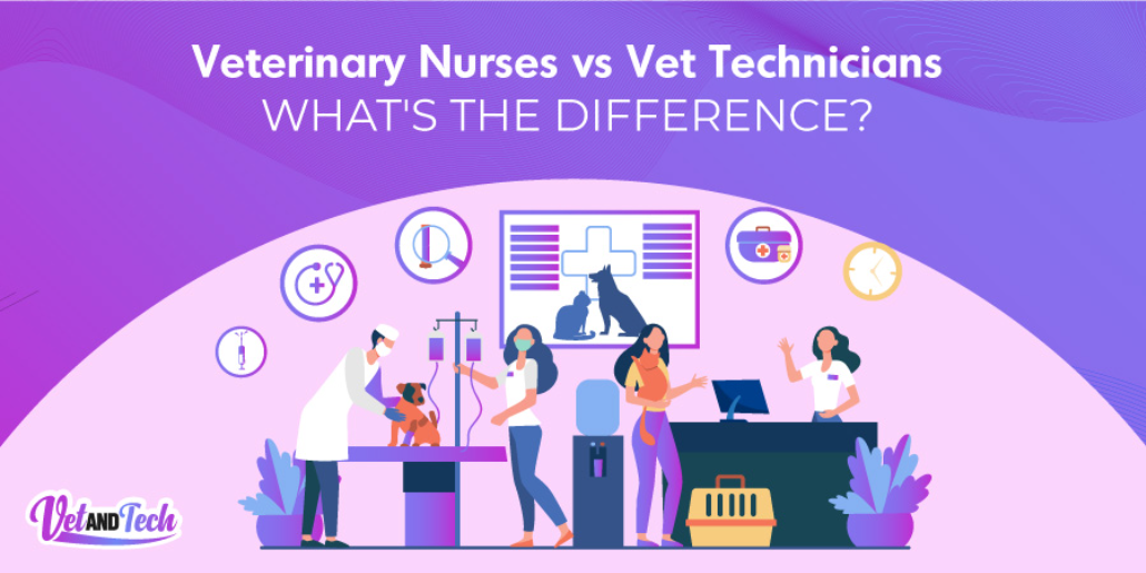 Veterinary Nurses vs. Vet Technicians What’s the Difference? by Veterinary Resources Medium