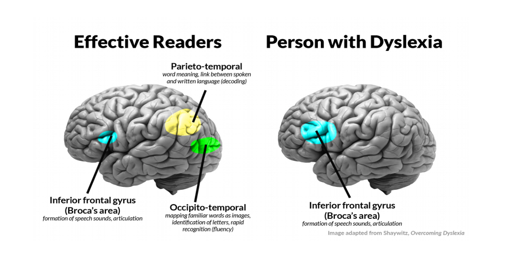 How To Talk In Text An Introductory Article Into A Mind By Iraina how-to-talk-in-text-an-introductory-article-into-a-mind-by-iraina