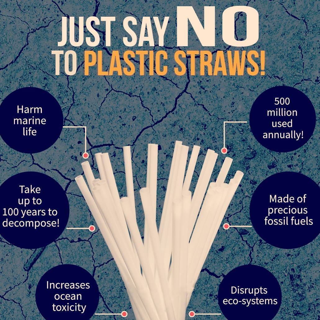 Why Plastic Straws Suck…. Why Too Much Plastic Isn’t Fantastic by