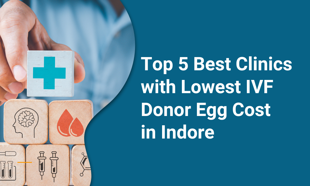 Top 5 Best Clinics with Lowest IVF Donor Egg Cost in Indore by Indore
