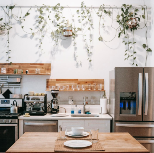 DREAMING OF A HOME WITH PLANTS AROUND? | by Elakkiya S | SOLAI Club VIT |  Medium