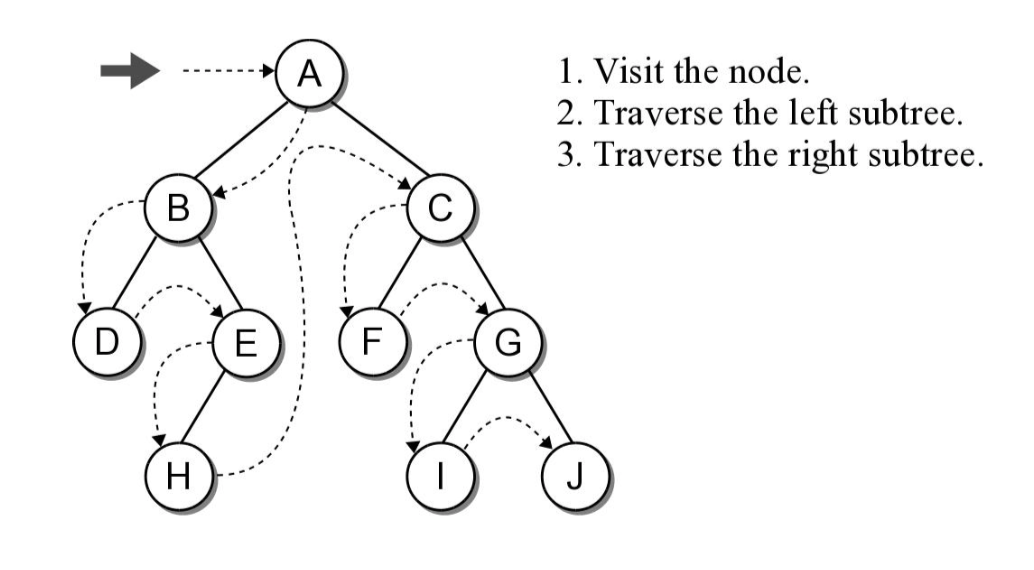 Trees. Key concepts: | by Haileyli | Medium