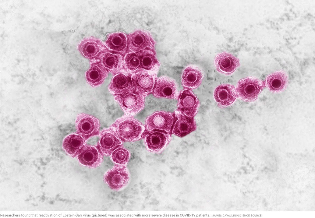 COVID Resurrects Other Pathogens